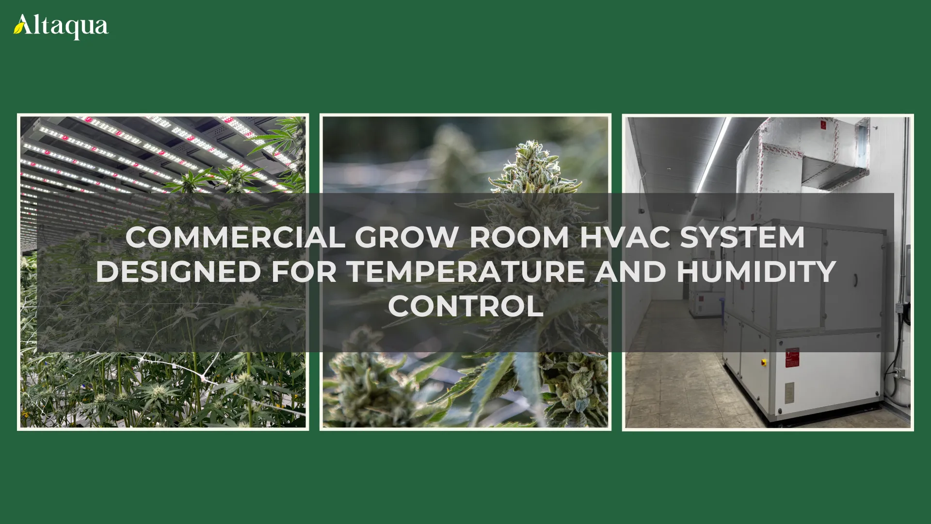 Altaqua-_grow-room-hvac-reheat_commercial-grow-room-hvac-system-overview