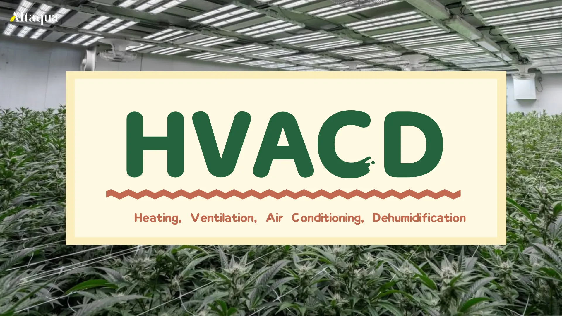 Altaqua-_grow-room-hvacd_what-is-hvacd