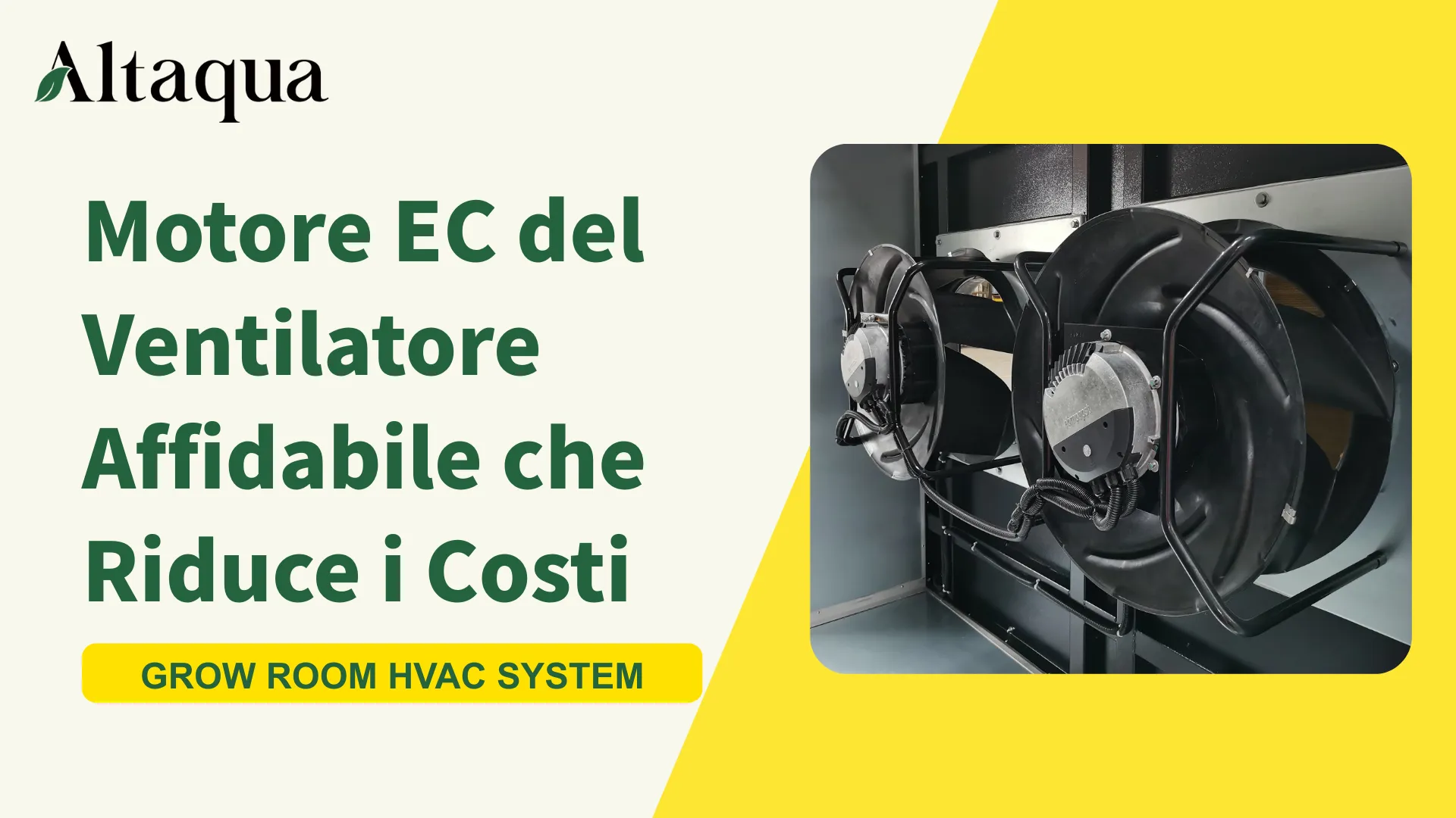 Video sul motore EC ad alta efficienza