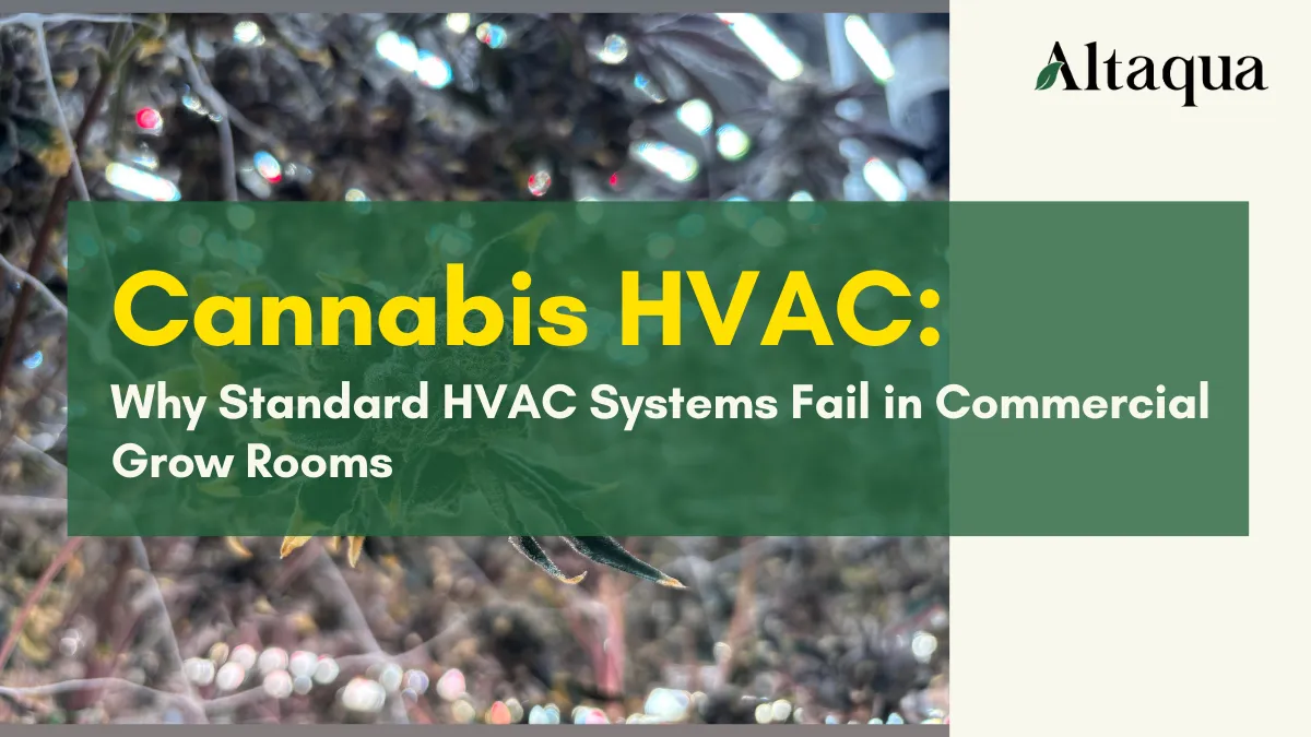 Altaqua-blog-page_cannabis-hvac