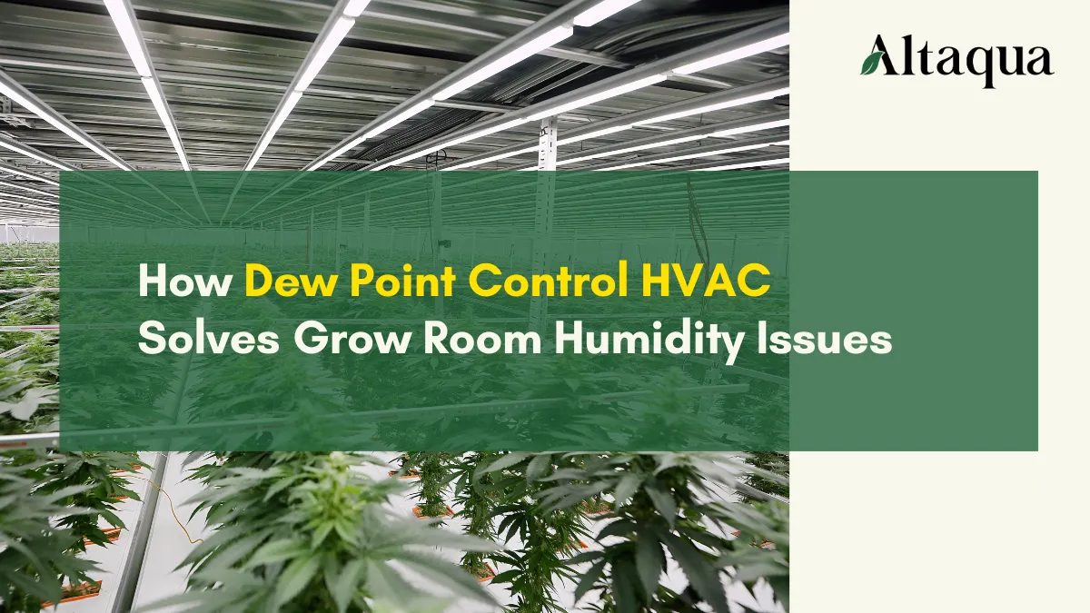 Altaqua-blog-page_dew-point-control-hvac