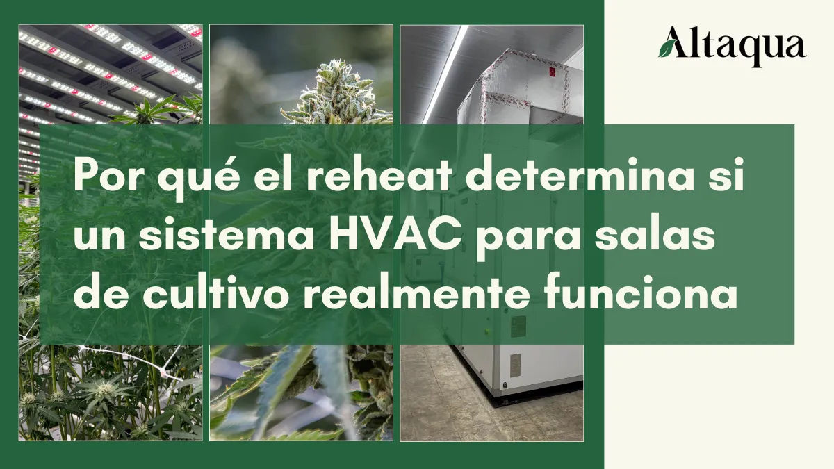 Altaqua-blog-page_grow-room-hvac-reheat