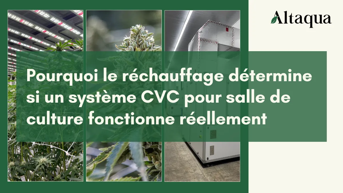 Altaqua-blog-page_grow-room-hvac-reheat