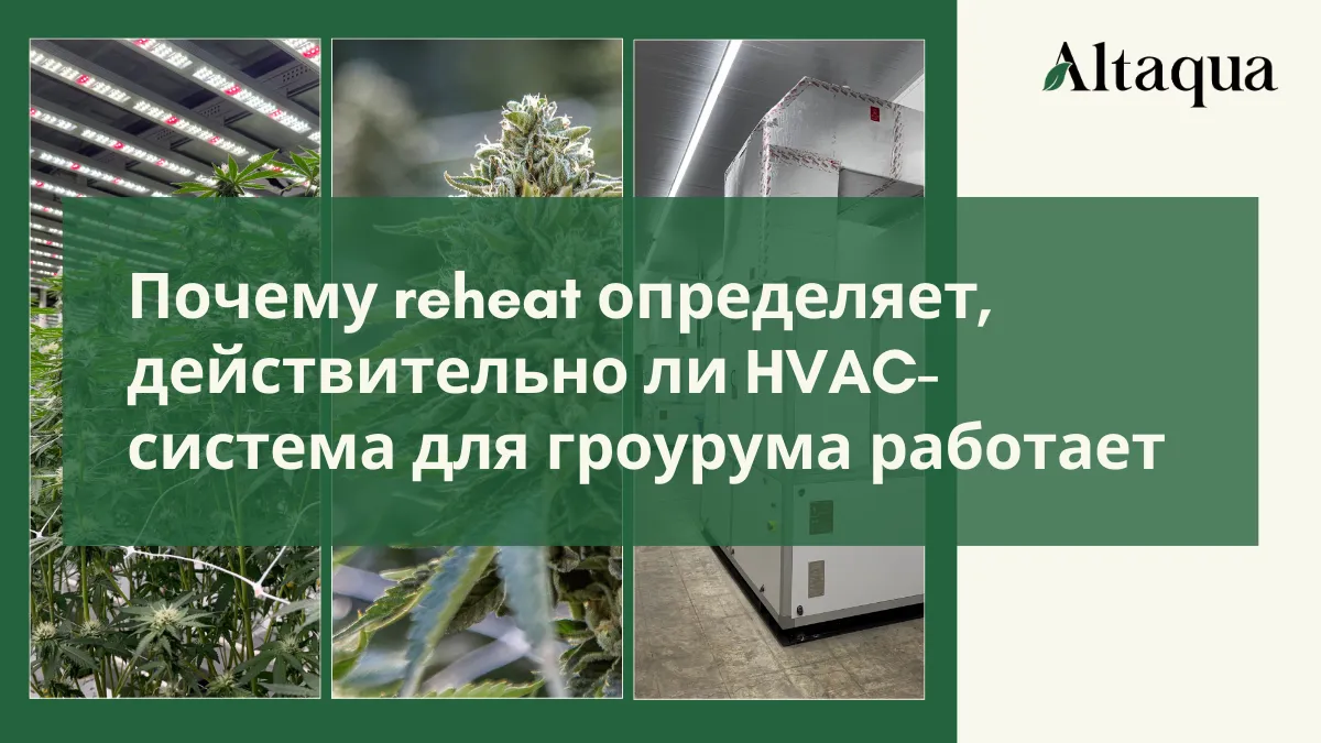 Altaqua-blog-page_grow-room-hvac-reheat