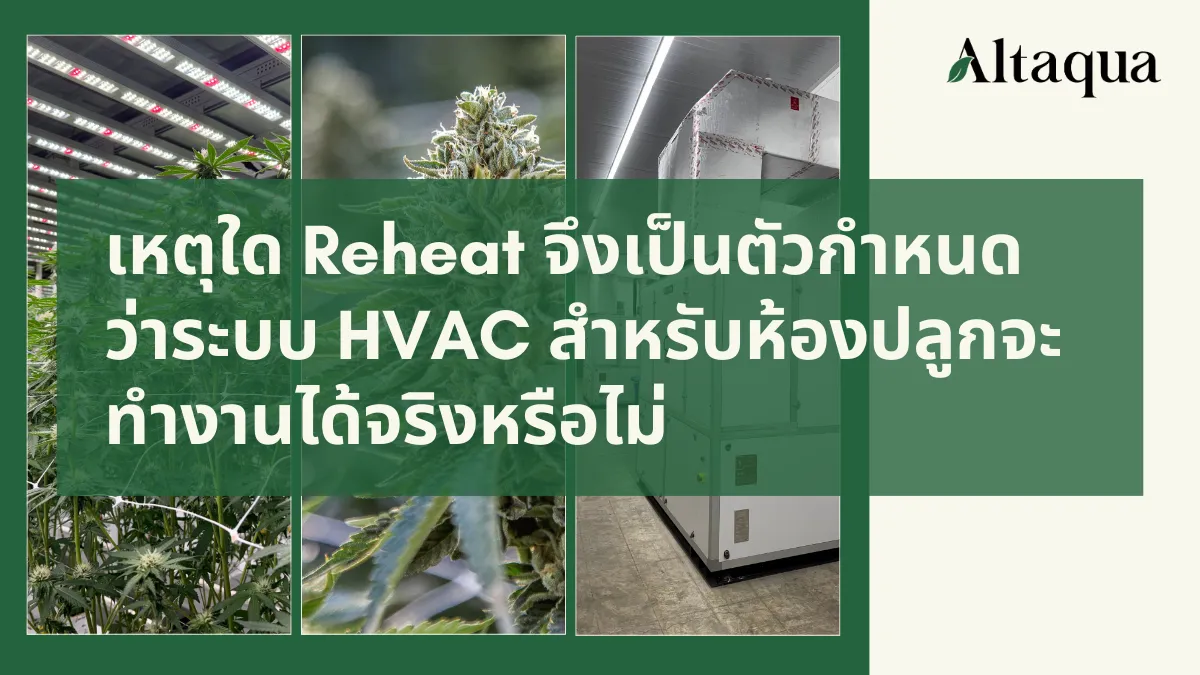 Altaqua-blog-page_grow-room-hvac-reheat