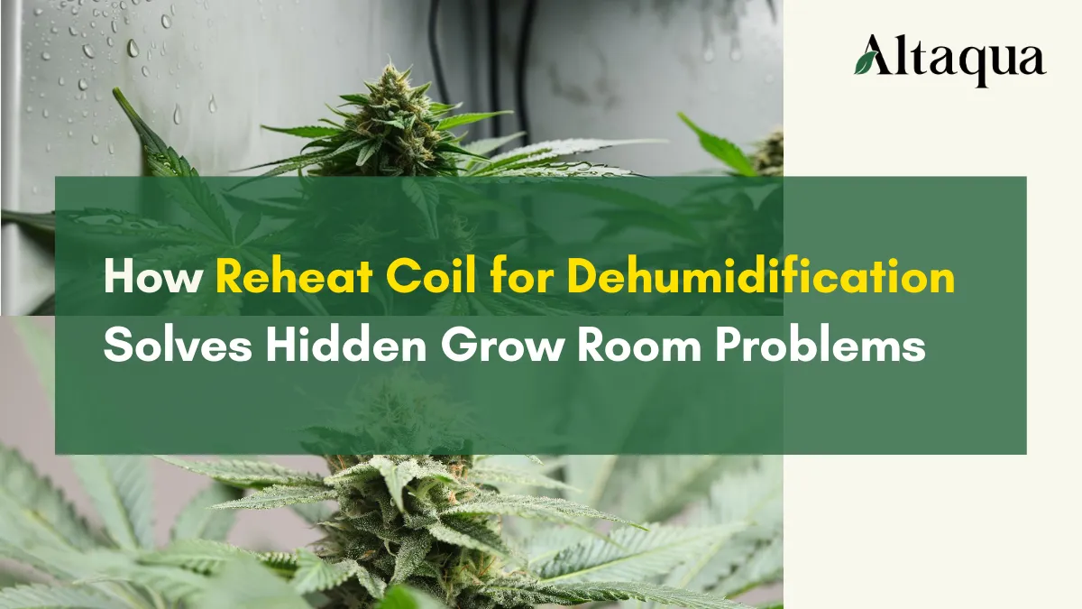 Altaqua-blog-page_reheat-coil-for-dehumidification