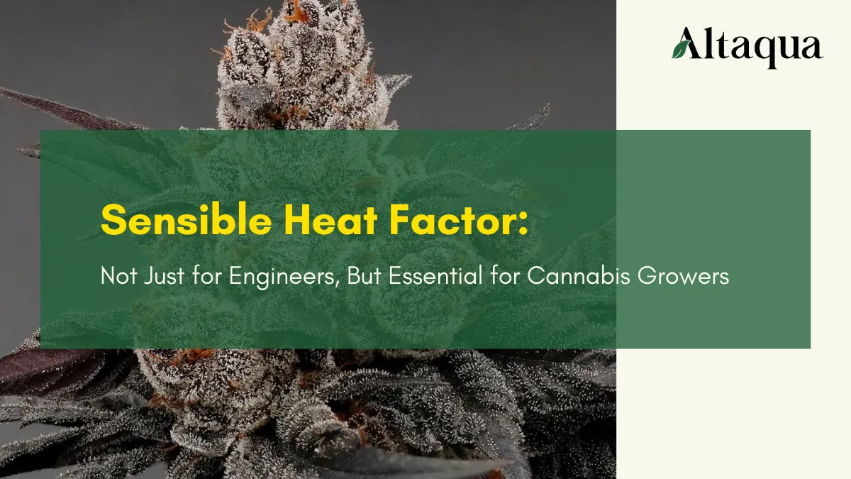 Altaqua-blog-page_sensible-heat-factor