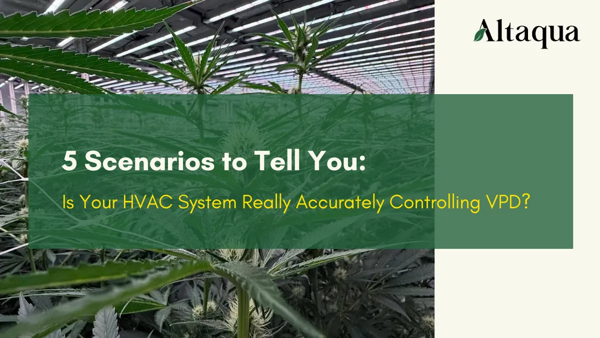 Altaqua-blog-page_vpd