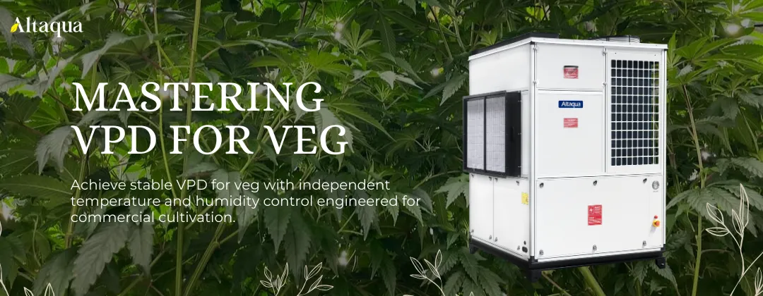 Altaqua-blog-vpd-for-veg-grow-room-hvacd-banner