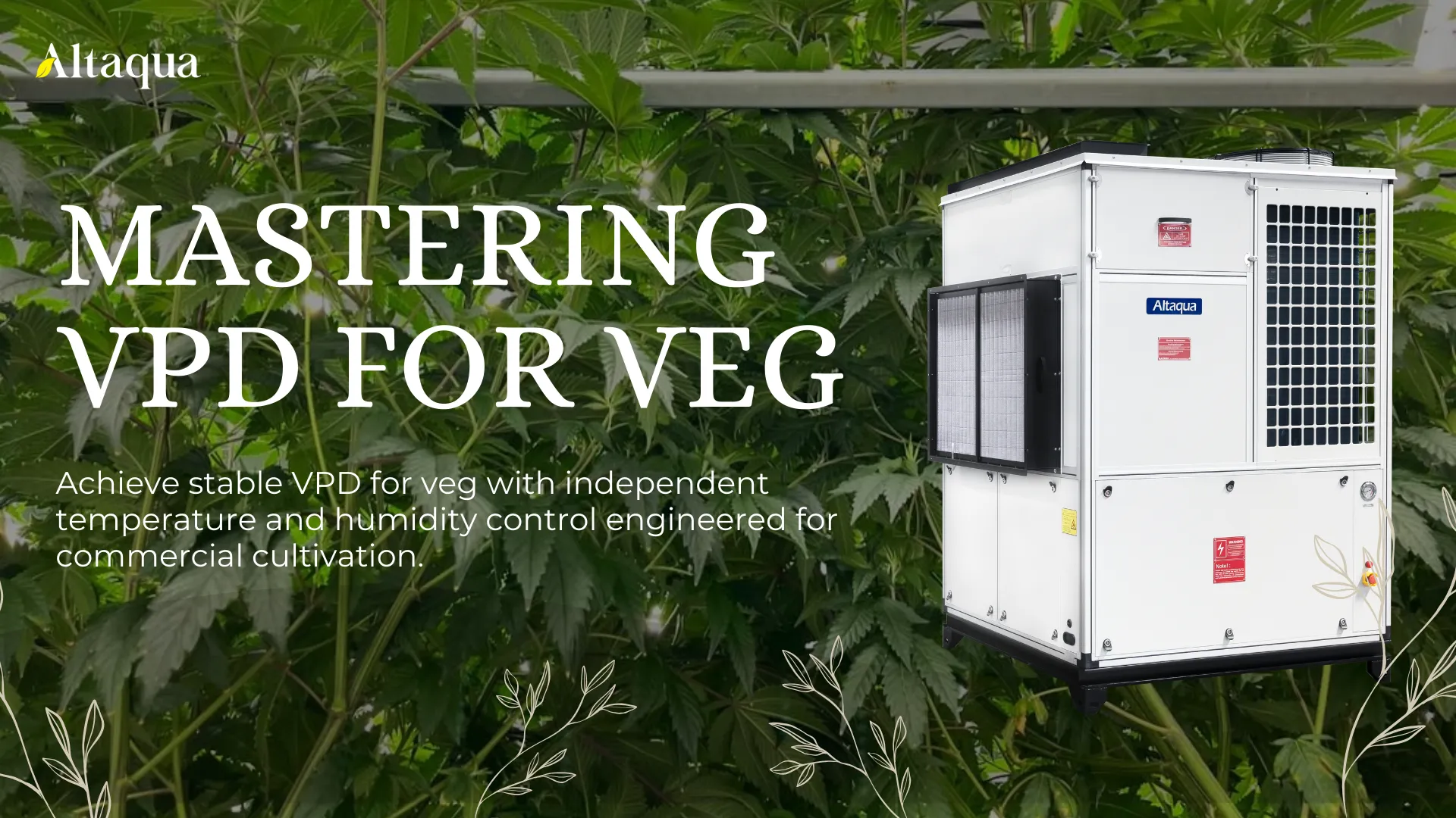 Altaqua-grow-room-hvac-blog-vpd-for-veg