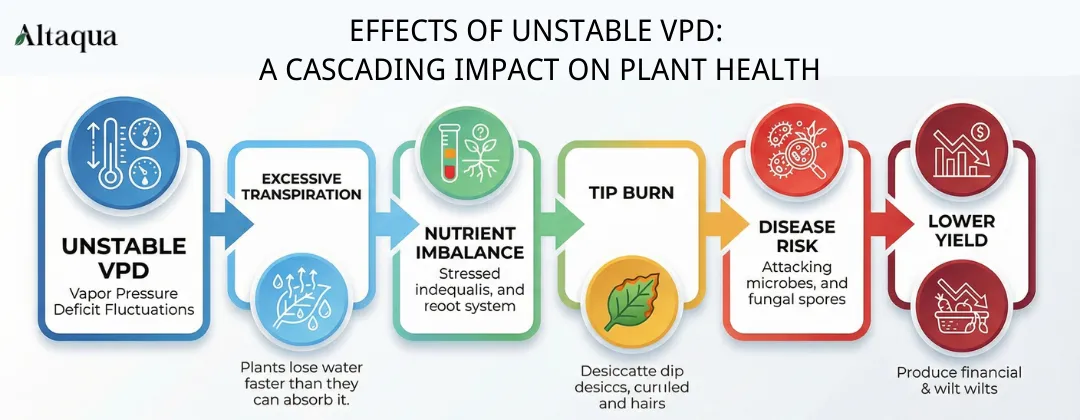 Altaqua-blog-vpd-for-veg-risks-flowchart