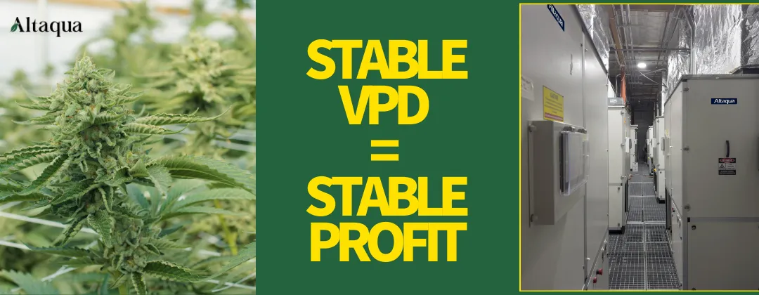 Altaqua-blog-vpd-for-veg-stable-vpd-stable-profit