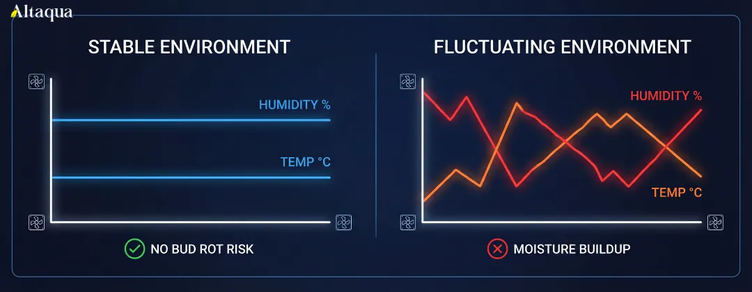 Altaqua-blog_bud-rot_environmental-stability