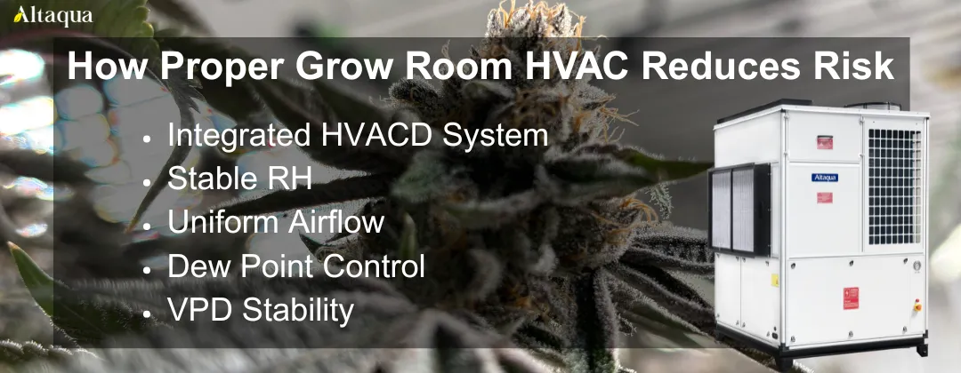 Altaqua-blog_bud-rot_hvac-solution