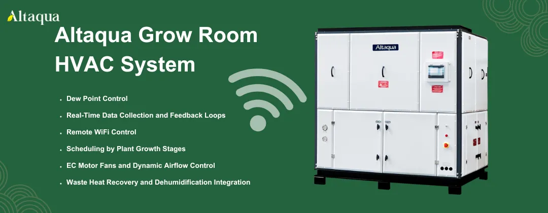 Altaqua-blog_cannabis-climate-control_grow-room-hvac-system