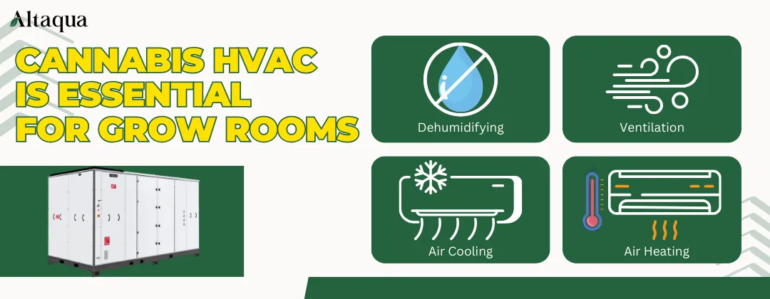 Altaqua-blog_cannabis-hvac_cannabis-hvac-is-essential