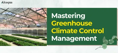 Altaqua-blog_greenhouse-climate-control_mastering-greenhouse-climate-control-management
