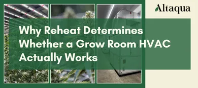 Altaqua-blog_grow-room-hvac-reheat