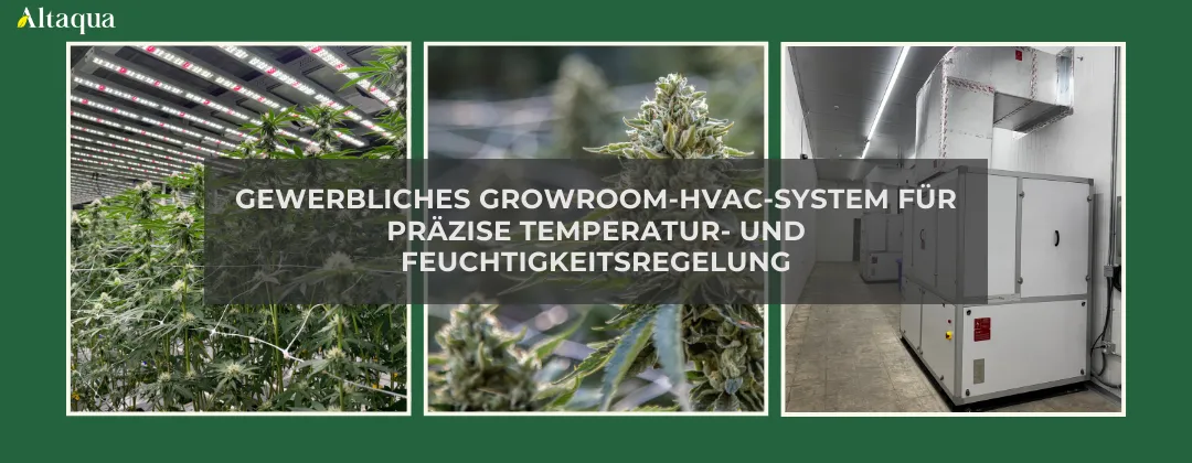 Altaqua-blog_grow-room-hvac-reheat_commercial-grow-room-hvac-system-overview