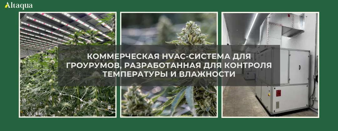 Altaqua-blog_grow-room-hvac-reheat_commercial-grow-room-hvac-system-overview