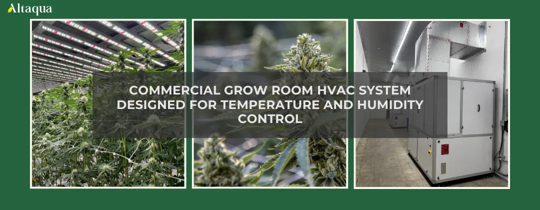 Altaqua-blog_grow-room-hvac-reheat_commercial-grow-room-hvac-system-overview