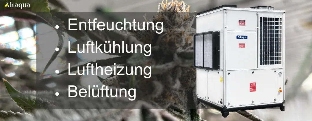 Altaqua-blog_grow-room-hvac-reheat_integrated-grow-room-hvac-system-design