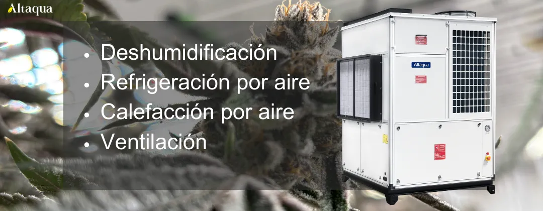 Altaqua-blog_grow-room-hvac-reheat_integrated-grow-room-hvac-system-design