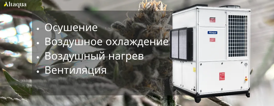 Altaqua-blog_grow-room-hvac-reheat_integrated-grow-room-hvac-system-design