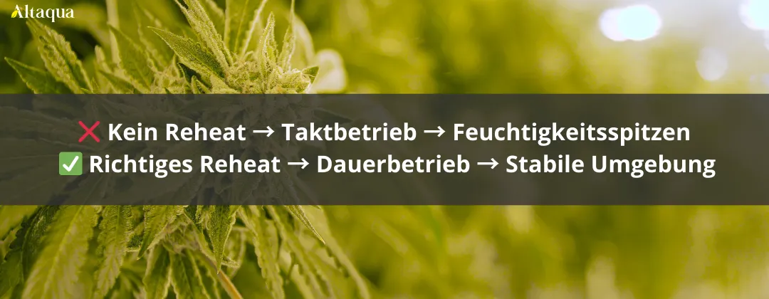 Altaqua-blog_grow-room-hvac-reheat_nighttime-humidity-spike-in-grow-room