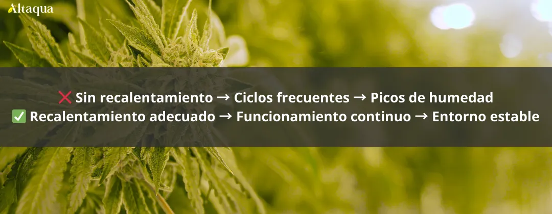 Altaqua-blog_grow-room-hvac-reheat_nighttime-humidity-spike-in-grow-room