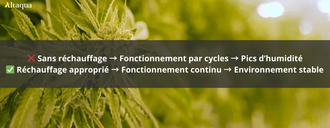 Altaqua-blog_grow-room-hvac-reheat_nighttime-humidity-spike-in-grow-room