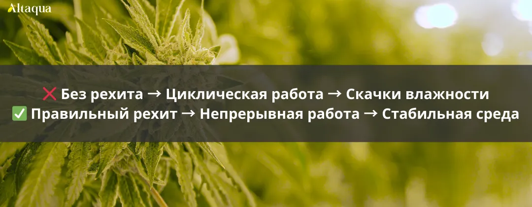 Altaqua-blog_grow-room-hvac-reheat_nighttime-humidity-spike-in-grow-room