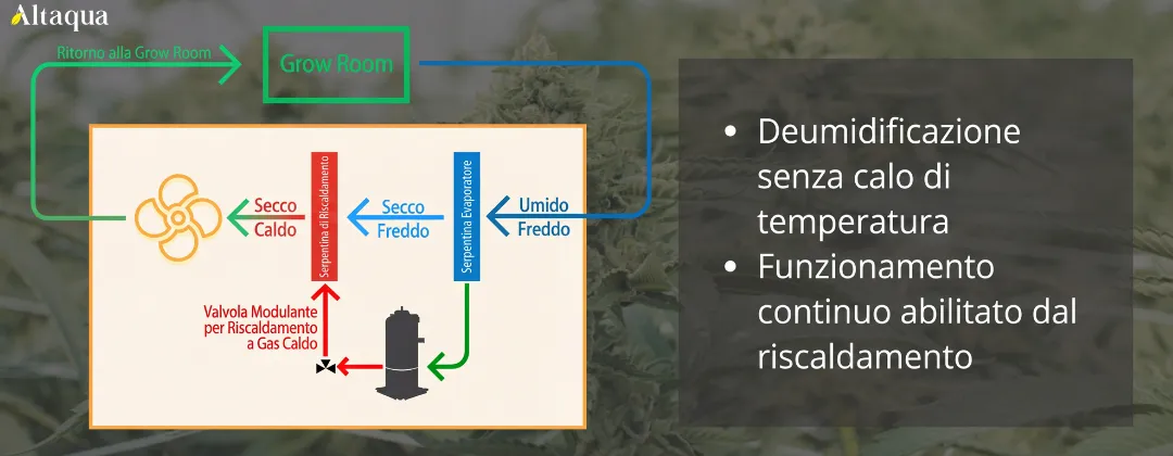 Altaqua-blog_grow-room-hvac-reheat_reheat-process-during-dehumidification