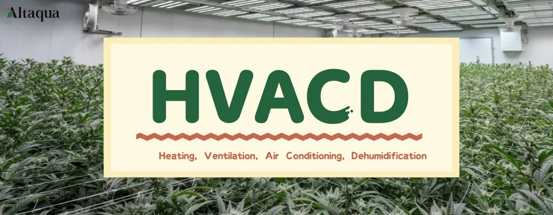 Altaqua-blog_grow-room-hvacd_what-is-hvacd