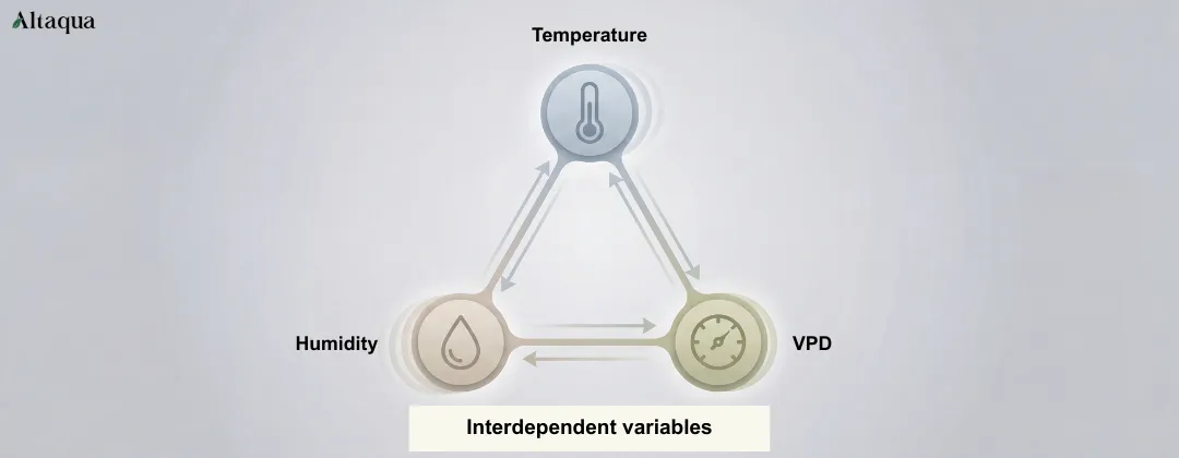 Altaqua-blog_grow-room-temperature-control_temperature-humidity-vpd-relationship