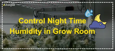 Altaqua-blog_night-time-humidity-in-grow-room