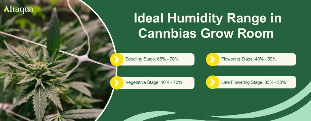 Altaqua-blog_night-time-humidity-in-grow-room_ideal-humidity-range