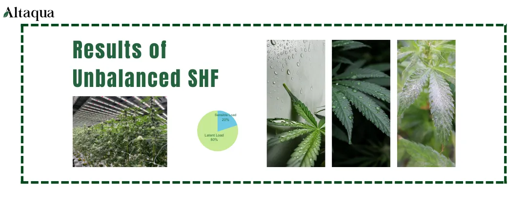 results-of-unbalanced-shf