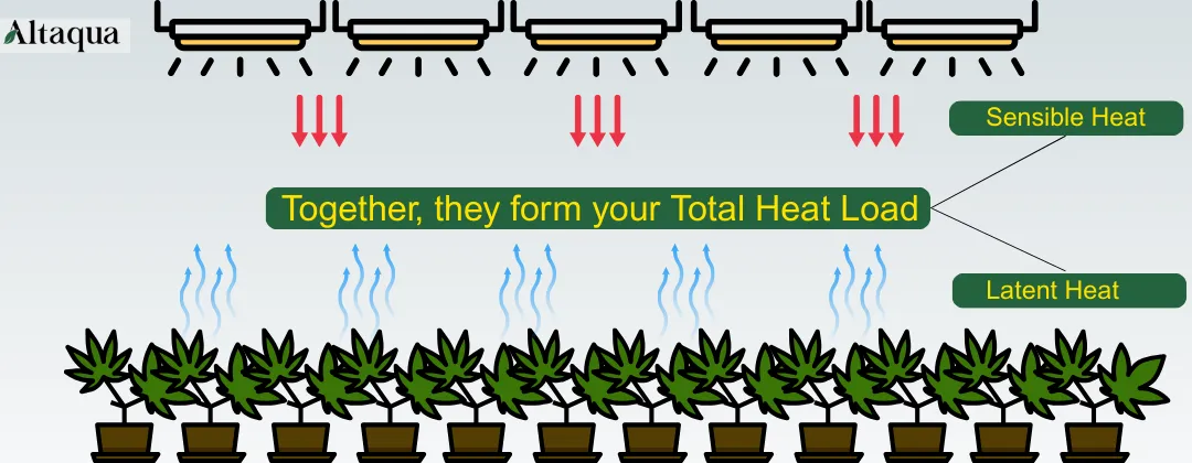 sensible-heat-vs.-latent-heat