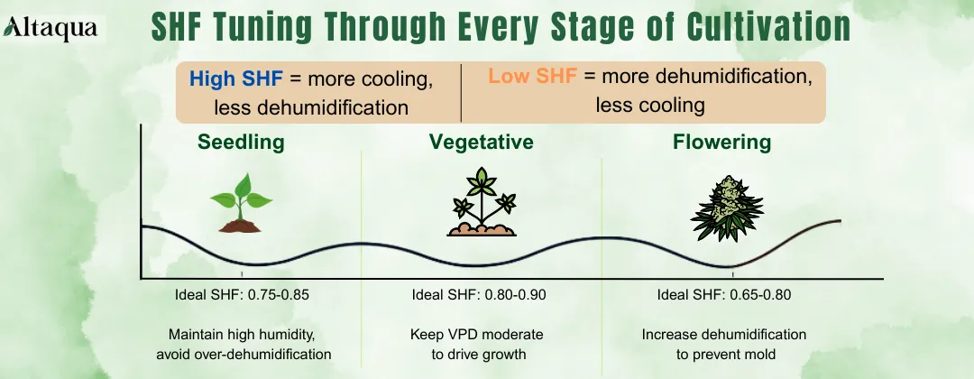 shf-tuning-through-every-stage-of-cultivation