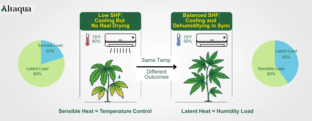 why-sensible-heat-factor-matters-for-growers