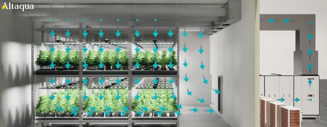 Altaqua-blog_vertical-grow-room-design_airflow-mapping