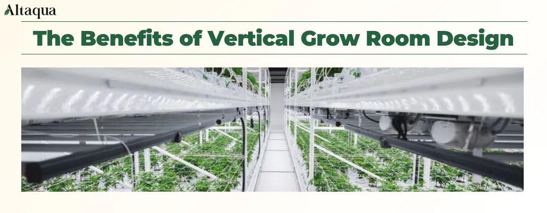 Altaqua-blog_vertical-grow-room-design_benefits-of-vertical-grow-room-design