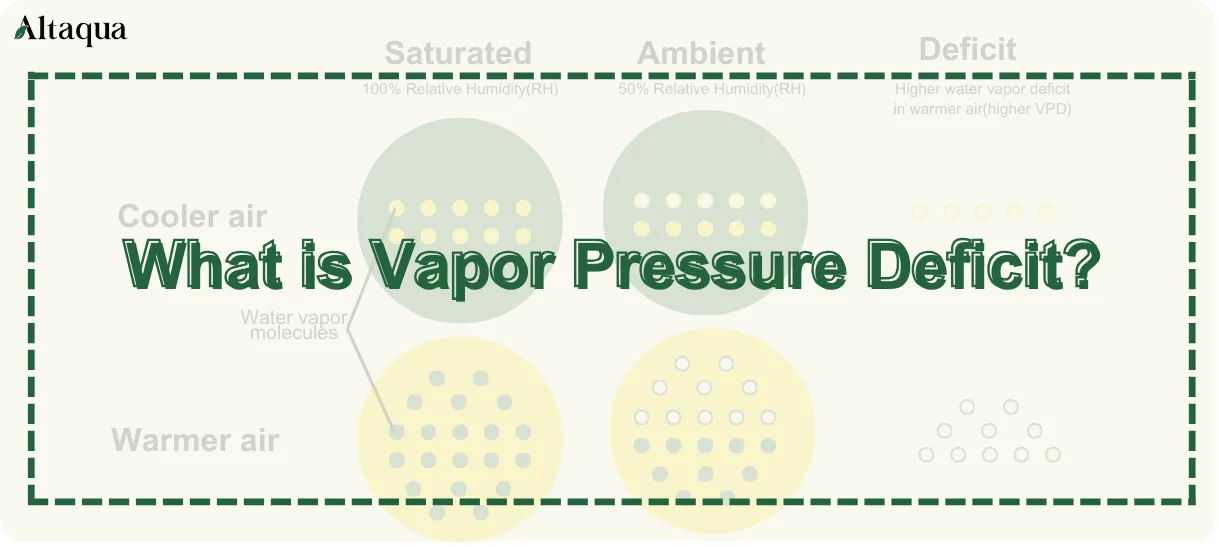 Altaqua-blogs_vapor-pressure-deficit