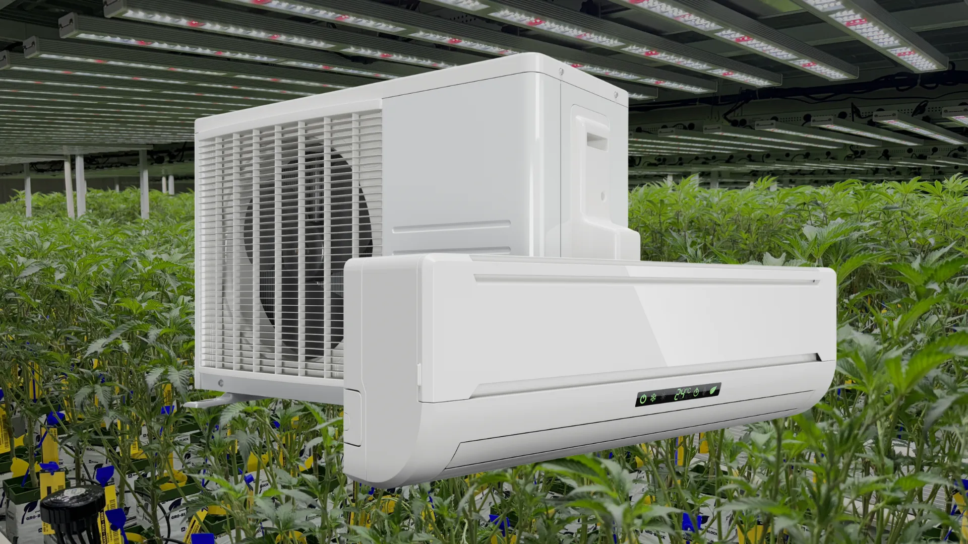 Altaqua-cannabis-grow-room-hvac-decoupledsystem