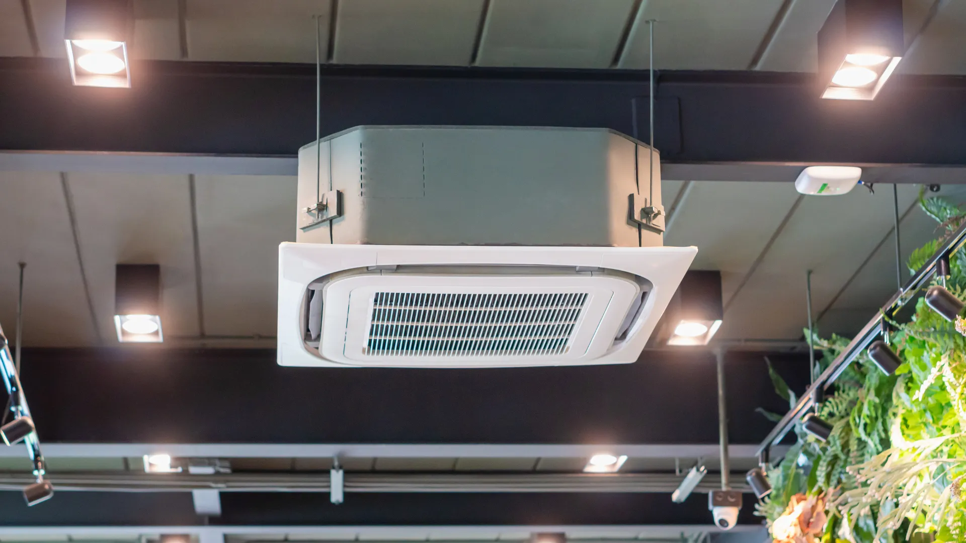 Altaqua-cannabis-grow-room-hvac-vrfsystem
