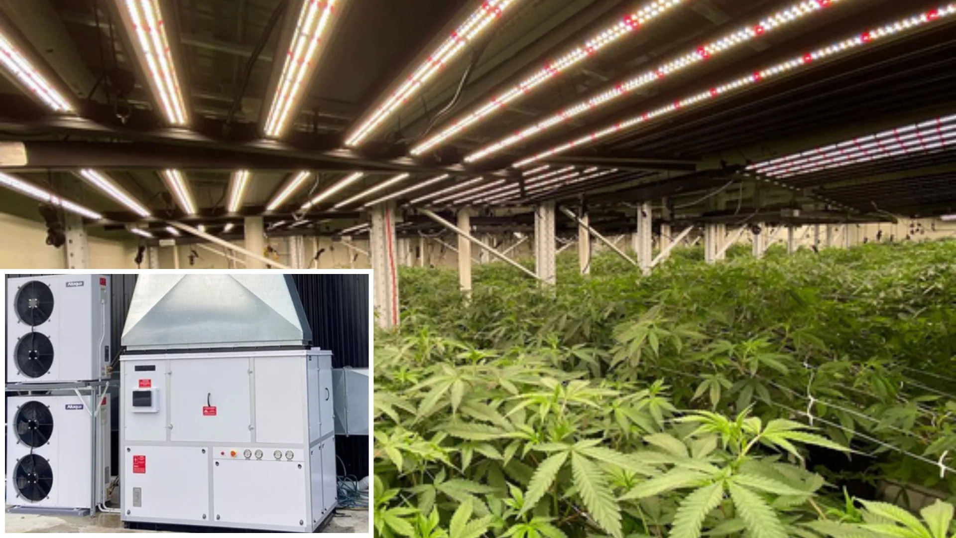 Altaqua-commercial-grow-room-hvac-New-Zealand-GAS-20D