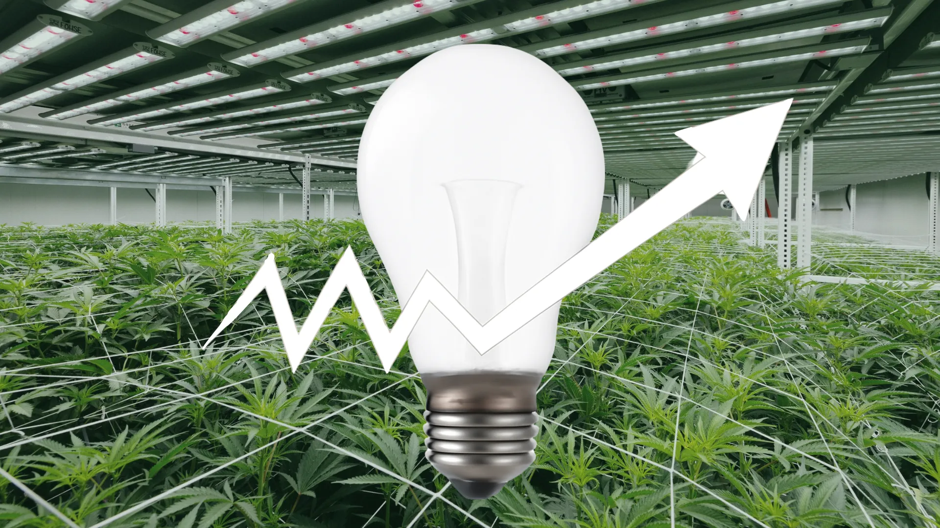 Altaqua-commercial-grow-room-hvac-high-energy