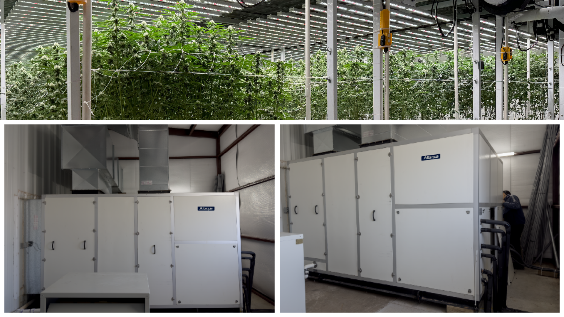 Altaqua-commercial-growing-hvac-projects-1