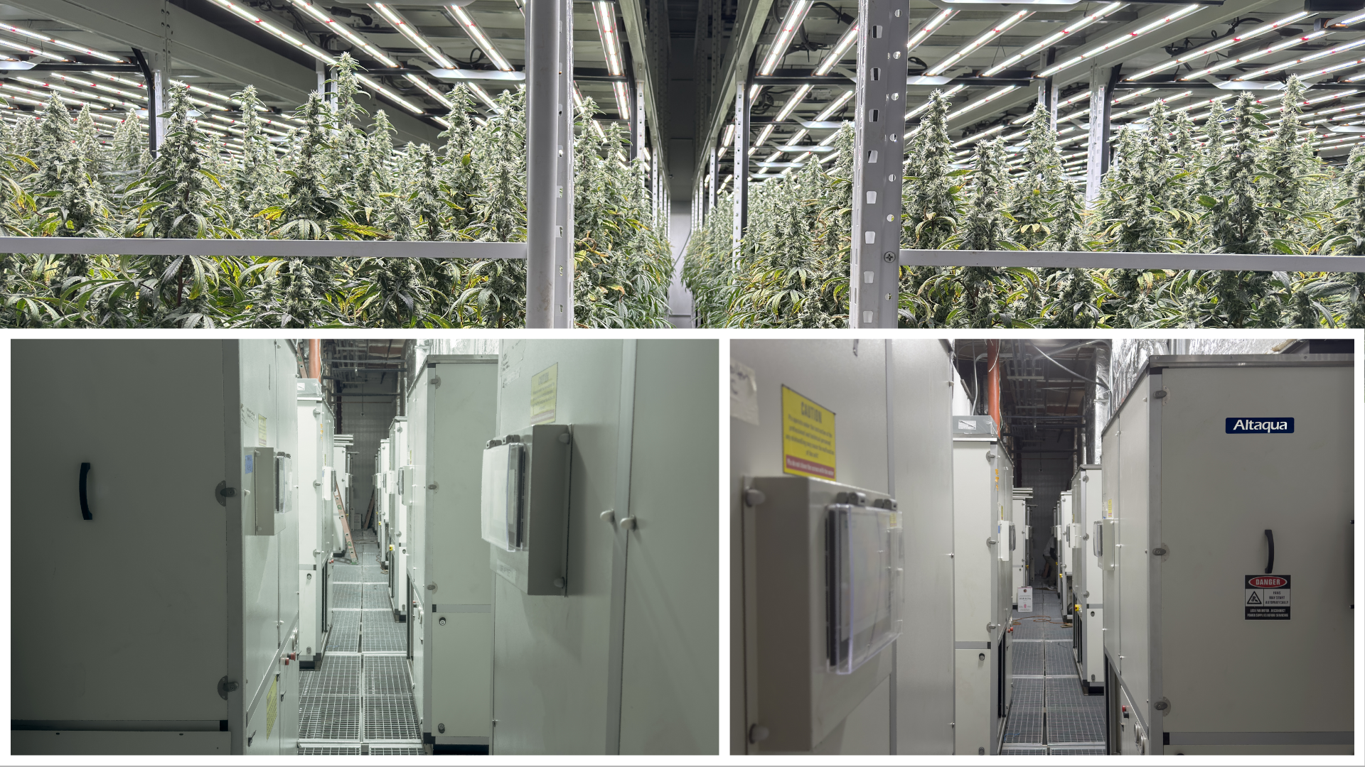 Altaqua-commercial-growing-hvac-projects-2